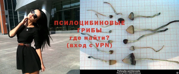 альфа пвп Богданович