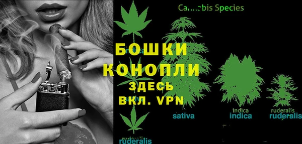 ALPHA-PVP Богородицк